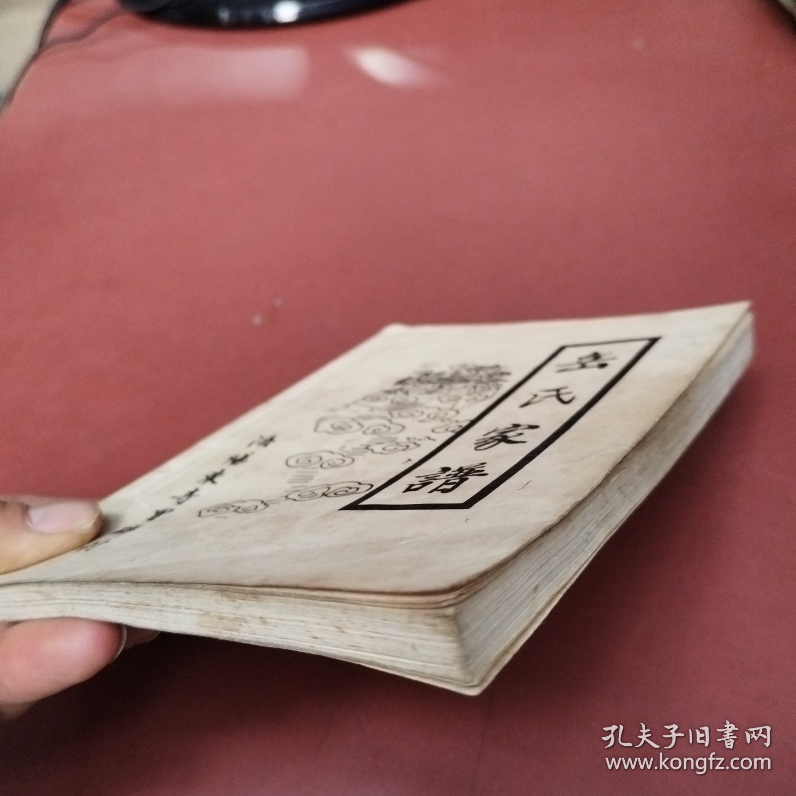 乐氏家谱