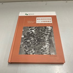 黛瓦青砖的绮丽--大悟熊畈村(精)/红色记忆传统村落历史形态与文化研究丛书