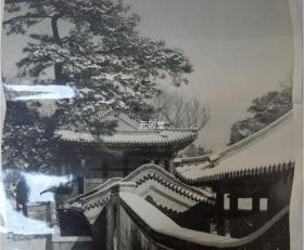 庭院雪景图 中国青年出版社图片