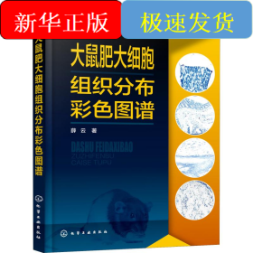 大鼠肥大细胞组织分布彩色图谱