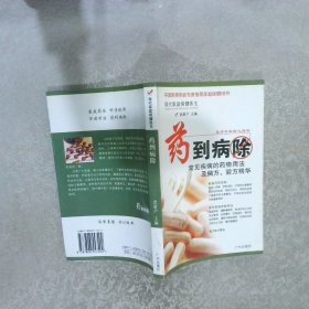 药到病除：常见疾病的药物用法及偏方验方精华