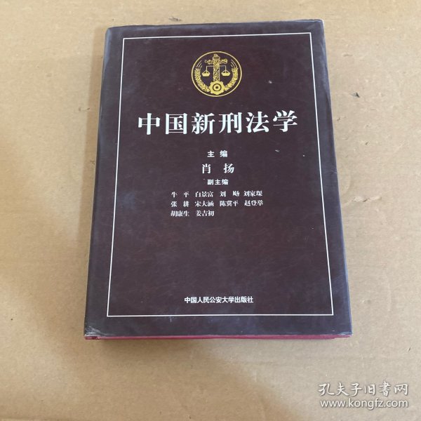 中国新刑法学