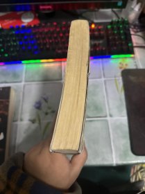 高手（邪派高手--庸人又一力作，教你如何用别人的钱，干自己的事。）