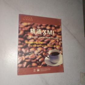 精通XMI:使用XMI、XML和UML进行Java编程