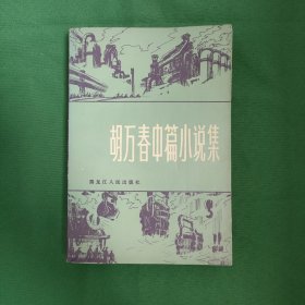 胡万春中篇小说集 红色文学 怀旧经典小说收藏 私藏品较好 白纸铅印大开本 一版一印