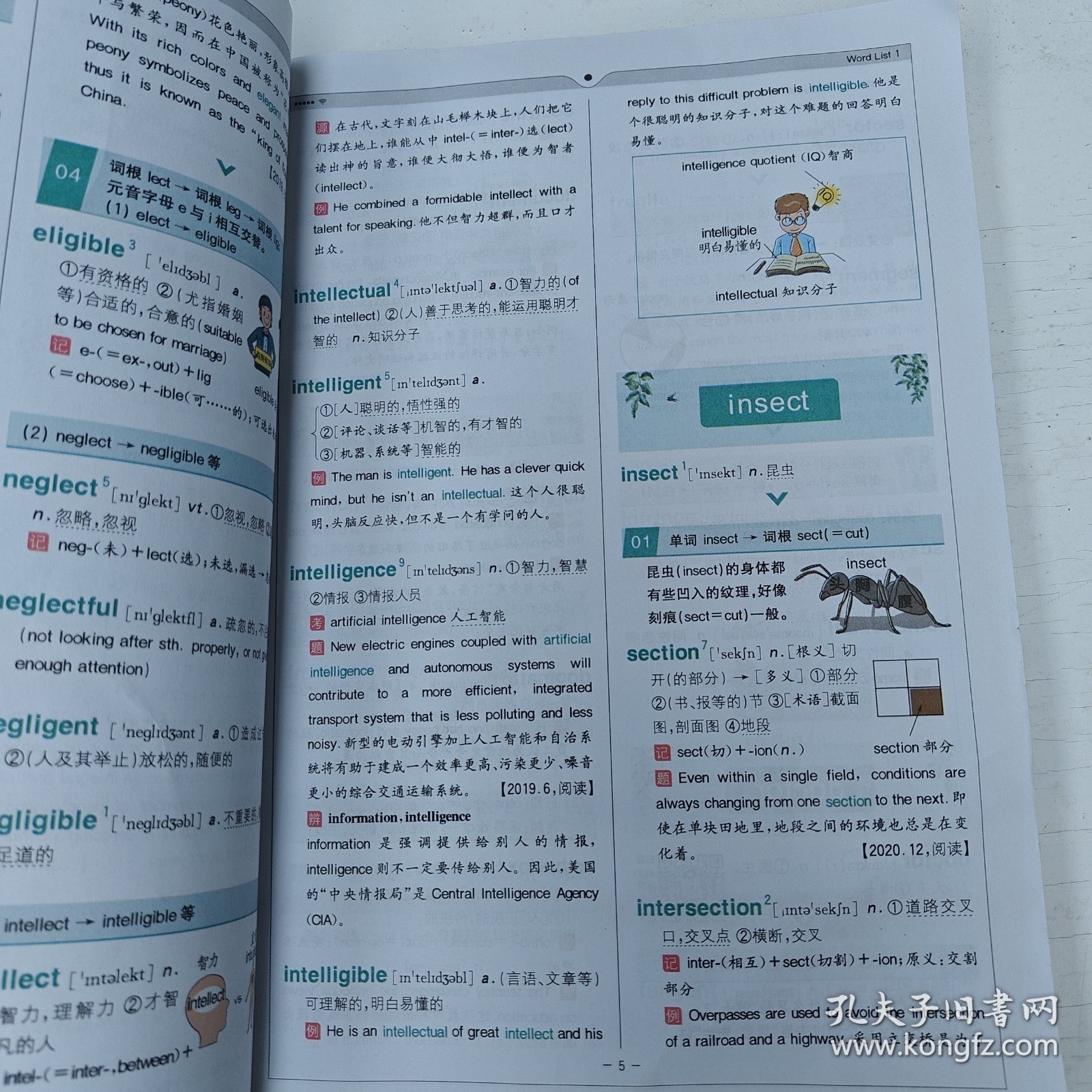 星火英语 新大纲大学英语六级 词汇乱序版 2018大学六级英语词汇书 星火式巧记速记单词（赠六级词汇大纲词汇表）