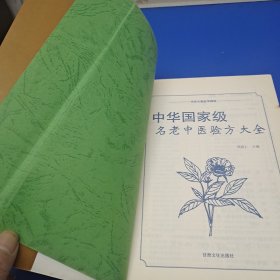 中华国家级名老中医验方大全