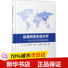 能源供需系统分析：基于复杂网络新视角