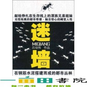迷墻呂培偉當(dāng)代世界出9787509004906
