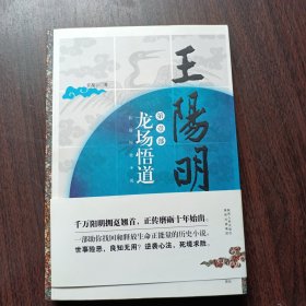 王阳明·龙场悟道 许葆云 著 陕西人民文学出版社