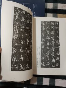 中国历代经典名帖集成：兴福寺断碑〔晋〕王羲之书 ［唐］释大雅集、祭姪文稿.争座位帖 〔唐〕颜真卿、伯远帖〔晋〕王珣