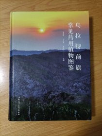 乌拉特前旗常见药用植物图鉴