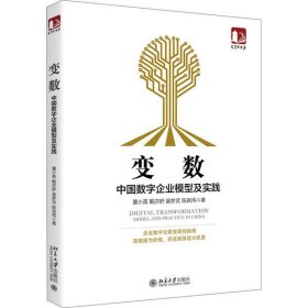 变数：中国数字企业模型及实践