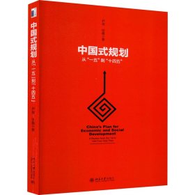 中国式规划 从