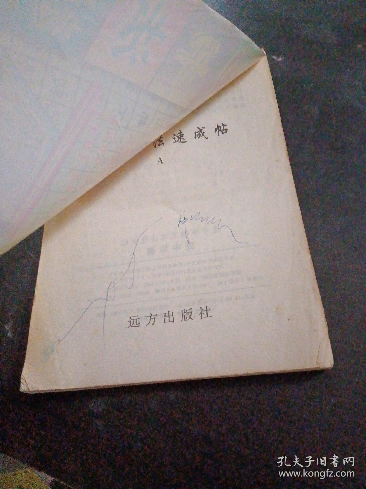 庞中华钢笔书法速成贴a