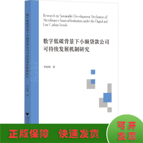 數(shù)字低碳背景下小額貸款公司可持續(xù)發(fā)展機(jī)制研究