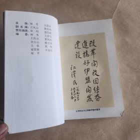 金三角之光(东胜建市十周年回顾与展望)