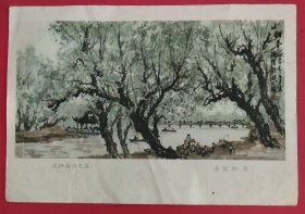 32开画片(李汉华的国画《沈阳南湖之春》)