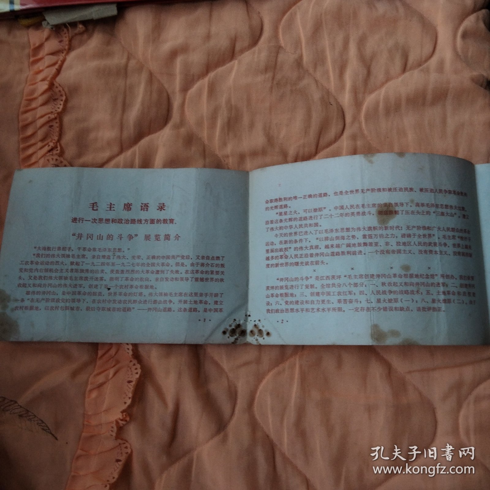 井冈山的斗争--毛主席创建的第一个革命根据地井岗山展览（宣传折页）