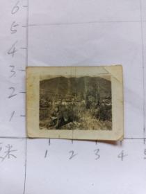 中国人民解放军 家庭相册保存军人照片 50年代老照片 某 战地照片