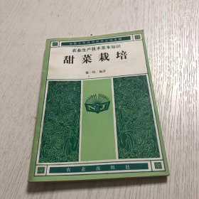 甜菜栽培