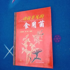 功效非凡的食用菌
