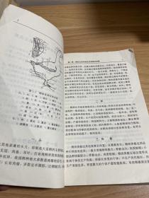 养鹅手册