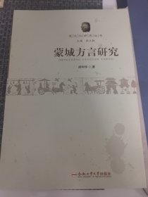 蒙城方言研究