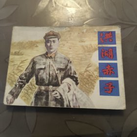 洪湖赤子 连环画