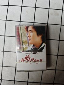 磁带 郑源 有情人终成眷属 未开封
