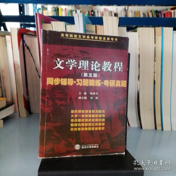 童庆炳 文学理论教程（第五版）同步辅导 习题精练 考研真题