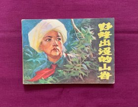 野蜂出没的山谷