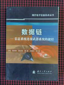 数据链：信息系统连接武器系统的捷径