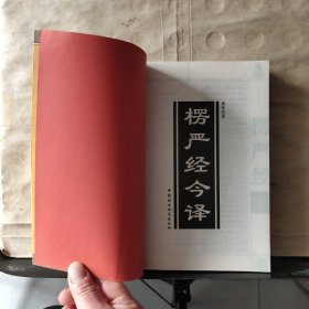 白话佛经系列：净土诸经今译、楞严经今译（共2本合售）