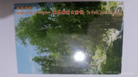 西藏林芝 世界柏树王园林(带邮资明信片)