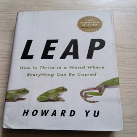 Leap: How to Thrive in a World Where Everything Can Be Copied