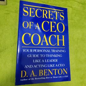 Secrets Of A Ceo Coach