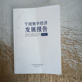 宁波数字经济发展报告(2022)(封面小破损小污，内页干净)