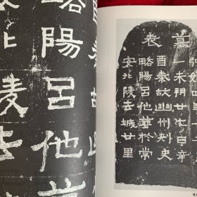 《书法丛刊》杂志：西安碑林藏精品墓志:
后秦吕他墓表（有评述）、
北魏赵超宗墓志、
张宜墓志、
杨舒墓志、
赵超宗妻王氏墓志、
北周独孤浑贞墓志、
佛立像及题记（都是全拓）、
隋解方保墓志（原大全，有解读）、
唐阿史那婆罗门墓志、
史怀训墓志、
唐安公主墓志、
王求古墓志、
柳公权书迴元观钟楼，
文征明行书新燕篇（全），