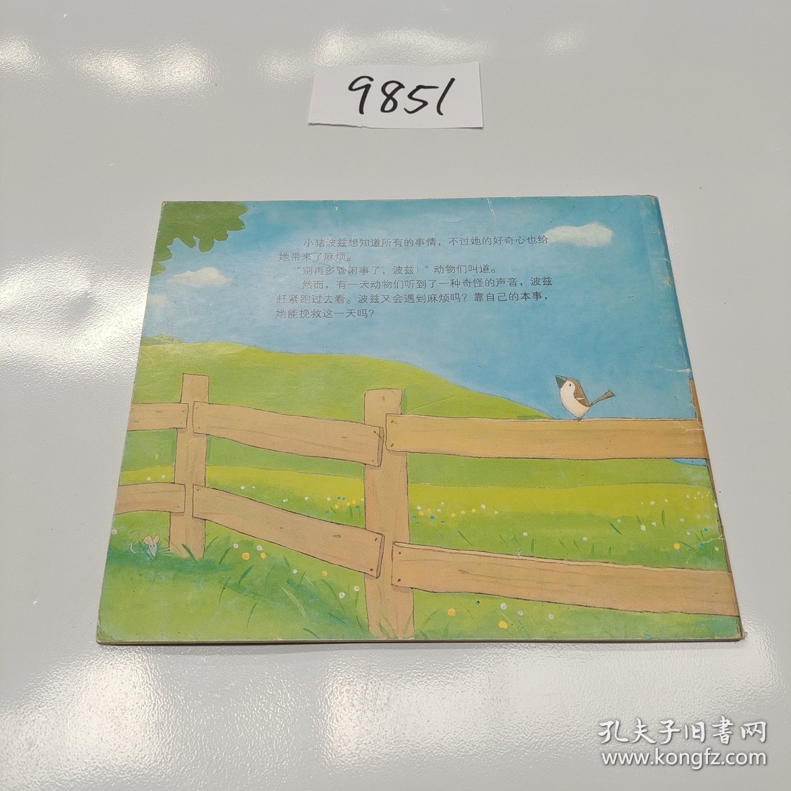 别再多管闲事了,波兹!