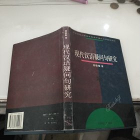 现代汉语疑问句研究