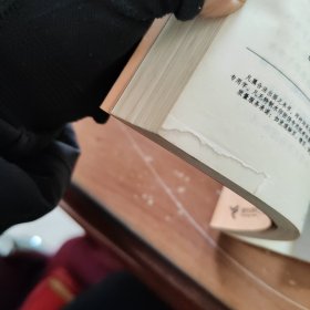 淘气包马小跳系列：寻找大熊猫