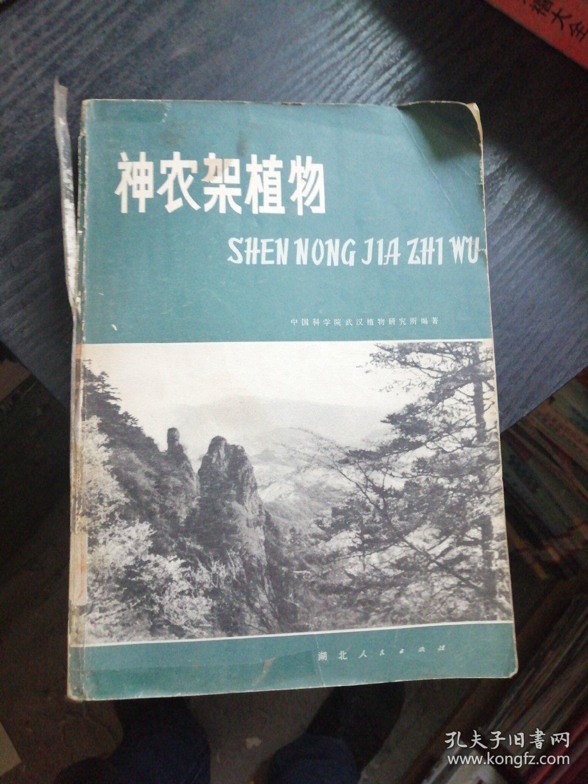 点击查看原图 神农架植物