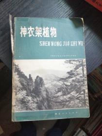神农架植物