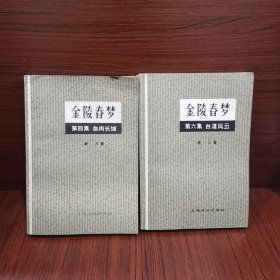 金陵春梦 第四季 第六集 共两册
