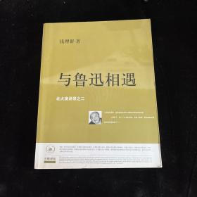 与鲁迅相遇：北大演讲录之二