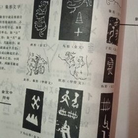书法与美术字