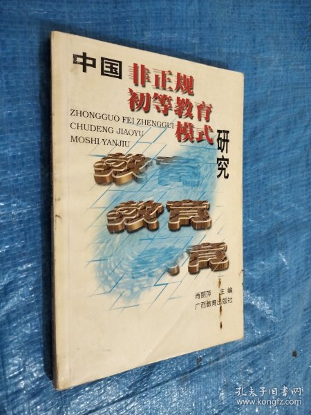 中国非正规初等教育模式研究