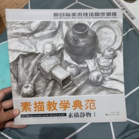 素描教学典范素描静物1...4.99元包邮，