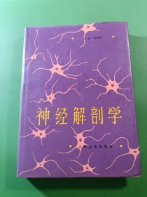 神经解剖学